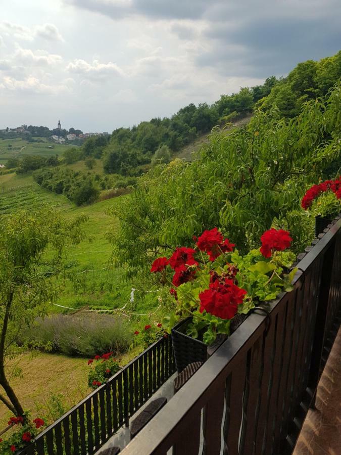 Apartman Potocki Krapina Eksteriør billede