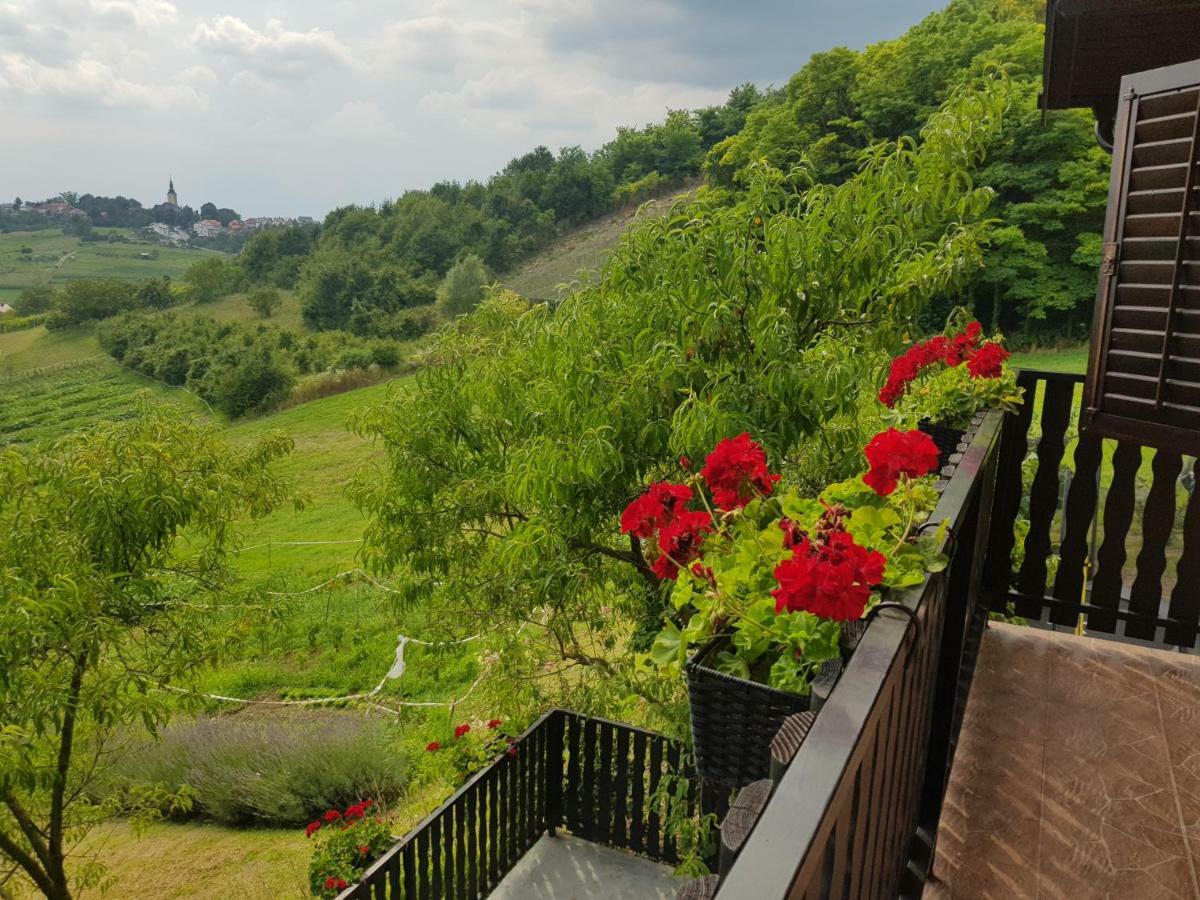 Apartman Potocki Krapina Eksteriør billede